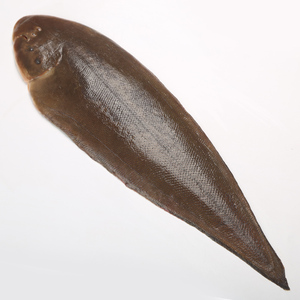 【广深同城】味库活发保鲜龙利鱼玉秃鱼肉塌鱼舌头鱼600-750g/条