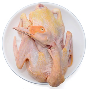 小兔子鹅鹅鹅淘宝正宗土鸭农家散养水鸭子新鲜整鸭现杀小河放养麻鸭