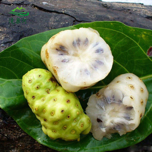 【诺丽果新鲜】诺丽果新鲜品牌,价格 - 阿里巴巴