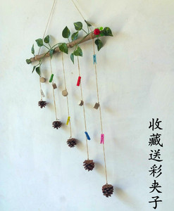 圣诞树枝