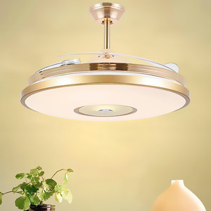 风之光风扇灯餐厅