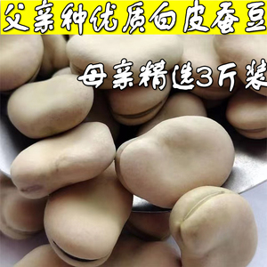 新上市干蚕豆3斤云南农家白皮生蚕豆种子新鲜胡豆罗汉豆干货馋豆
