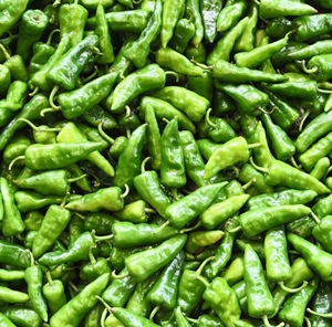 湖北宜昌土辣椒农村青辣椒新鲜蔬菜海辣椒广椒余干椒青椒5斤装