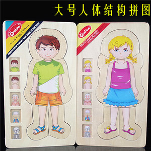 男孩女孩人体结构拼图 幼儿园科学区角材料 科学发现室材料玩教具