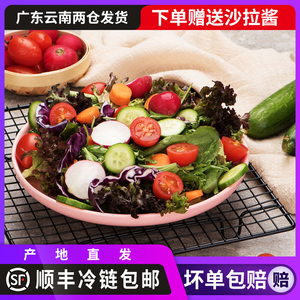 新鲜沙拉蔬菜套餐组合健身减低脂即食材料轻食果蔬菜沙拉混合2斤