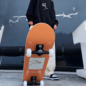 入门专业滑板成人青少年男女生儿童抖音短板初学者新手枫木双翘板