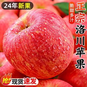 苹果新鲜水果陕西洛川红富士苹果冰糖心丑脆甜当季整箱10斤包邮