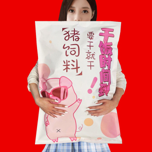 有趣猪饲料网红送男生女友小朋友闺蜜恶搞可爱生日礼物实用搞笑的