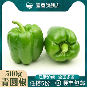 新鲜青圆椒500g 菜椒 甜椒灯笼椒 绿色圆椒 新鲜蔬菜沙拉食材