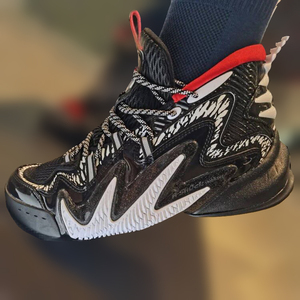 篮球鞋毒液5安踏