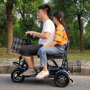可折叠轻便低速老年老人家用小型锂电双人电瓶车电动三轮车