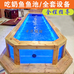 吃奶鱼鱼池