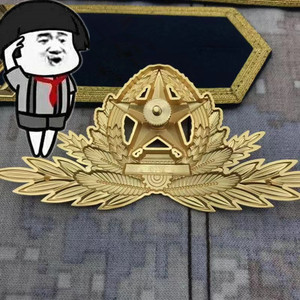 正品14金色大翅膀仪仗帽徽护卫队金属大帽徽影视表演收藏佩戴留恋