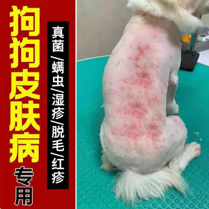 狗狗皮肤病专用药宠物螨虫真菌感染湿疹皮炎瘙痒猫狗癣药外用喷剂