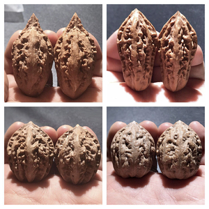 一物一拍楸子文玩核桃精品东北野生大粗筋异形秋子蚂蚁纹瓜条文玩