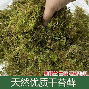 天然干苔藓水苔蝴蝶兰花专用营养土铁皮石斛种植爬宠乌龟冬眠垫材