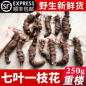 野生重楼七叶一枝花蚤休粉质新鲜滇重楼中药材250克顺丰包邮湿货