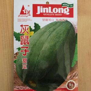 灰鼠子甜瓜种子瓜果皮灰色肉绿色春秋蔬果种子东北薄皮香瓜春季四