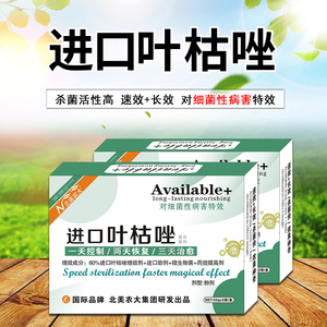 进口叶枯唑杀菌剂水稻白叶枯病细菌性条斑病白菜软腐病辣椒青枯病