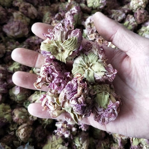 芙蓉花 木芙蓉花500克 中药材散装 新货地芙蓉 拒霜花茶干芙蓉花