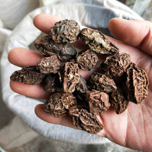 新货毛诃子 柯子500克 中药材 金柯子 柯子大金果 另售柯子肉