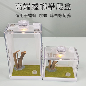 亚克力爬虫昆虫饲养盒竹节虫饲养盒螳螂纵向攀爬网LED造景生态盒