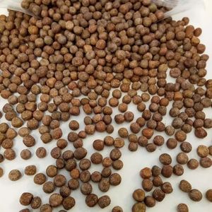 进口枫豆优质花豌豆幼鸽粮食鸽子豌豆信鸽饲料花麻豆500g一件