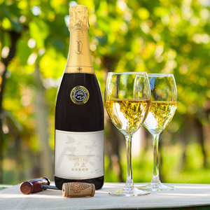 户太八号葡萄醇酿白起泡酒 国产甜型香槟 果味气泡酒