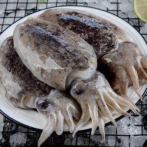 墨鱼舟山海鲜野生墨斗鱼新鲜大墨鱼超大目鱼鲜活冷冻水产 4斤