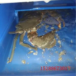 小龙虾室内养殖设备