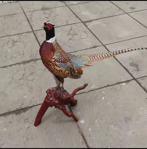 七彩山鸡模型标本七彩山鸡标本山鸡假鸡模型山鸡标本模型装饰摆件