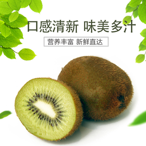 一果人生新西兰进口绿果绿心猕猴桃奇异果 新鲜水果12
