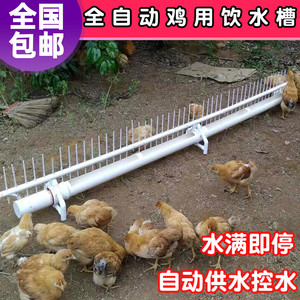 养鸡水槽鸭子鹅食槽养殖家禽神器喝水槽水壶自动喂水器鸡用饮水器