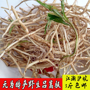 安徽特产野生吕蒿根藜蒿根泥蒿根芦蒿根 新鲜时苓蔬菜3件