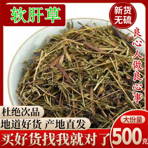 野生软肝草 野生中药材新货 软肝草 铁甲草 益肝草 500克包邮