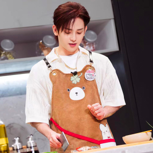 明星同款围裙家用厨房定制logo奶茶店烘焙美甲美发儿童防水工作服