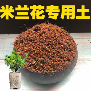 米兰花专用土米兰花土盆栽营养土酸性沙质土壤家用绿植种植土肥料