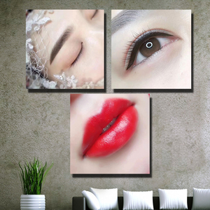 新款半永久装饰画 韩式眉眼唇挂画 纹绣店海报美容院无框画有框画