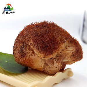 塞北山珍 小兴安岭东北野生猴头菇山货特产无根养胃野生蘑菇100g
