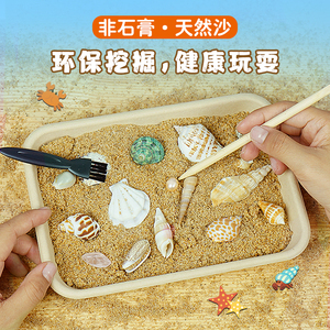 儿童挖沙子沙滩寻宝挖宝石化石考古挖掘贝壳海螺盲盒海洋益智玩具