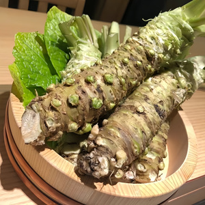 辣根条