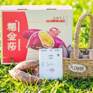 糯金莎蜜薯 黄心金时地瓜 玛莎莉红薯礼盒装日本引进品种地瓜番薯