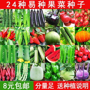 蔬菜种孑四季水果黄瓜西瓜西红柿茄子辣椒种子葫芦冬瓜豆角南瓜籽