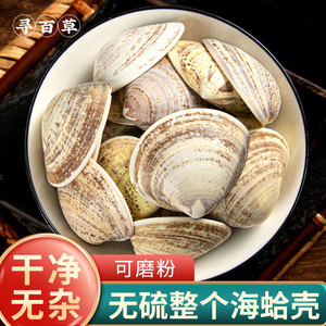寻百草海蛤壳中药材500g野生蛤壳文蛤中药天然蛤蜊壳海蛤海蛤粉