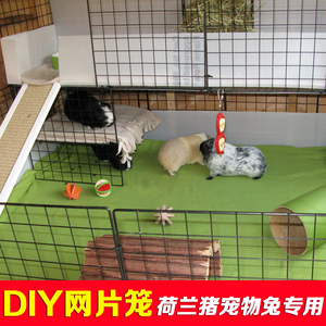 荷兰猪笼子豚鼠DIY网片双层别墅天竺鼠专用防喷尿宠物兔子笼大号