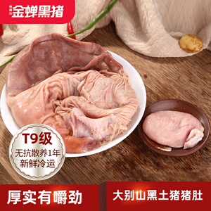 新鲜猪小肚