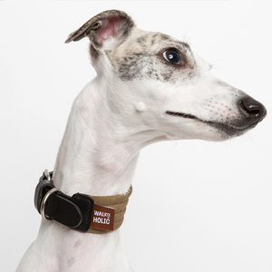 狗项圈 walkaholic 首脑系列 加厚真皮 进口编织 中大型犬脖圈