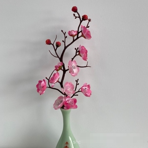 363人付款淘宝雪柳鲜枝新鲜桃树枝干枝遇水开花插花瓶带花苞梅花腊梅