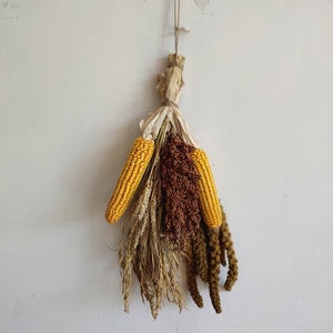 农家乐装饰五谷丰登挂件真实农作物玉米串麦穗干花高粱田园教具