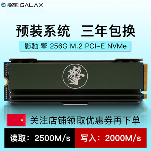 影驰 擎256g/512g m.2 pci-e nvme 2280 m2固态硬盘台式机电脑ssd